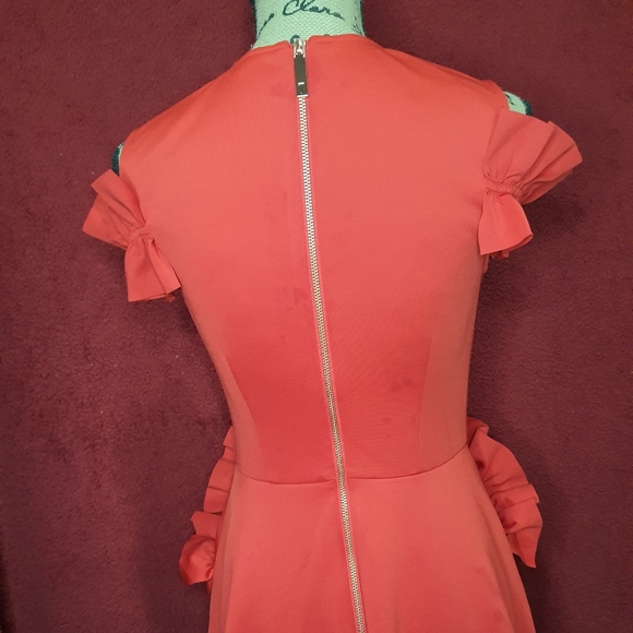 NWOT Ted Baker Detailed Ruffled w/ Pockets Dress - Picture 5 of 8